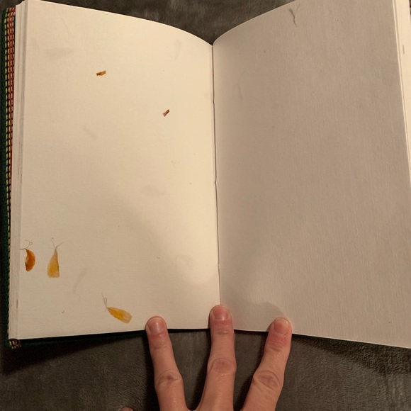 Journal - Picture 4 of 5